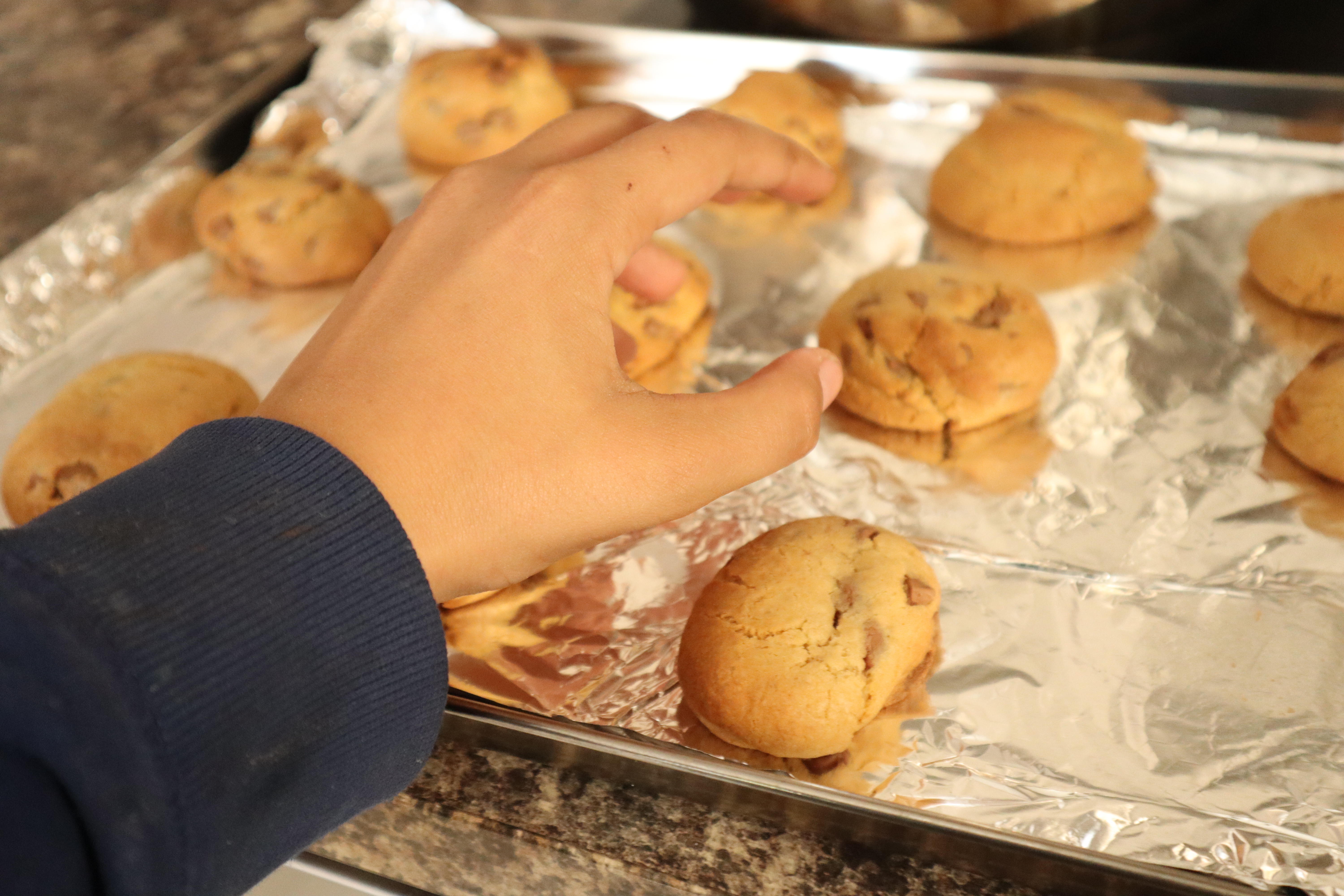 Chocolate Chip Cookie 4