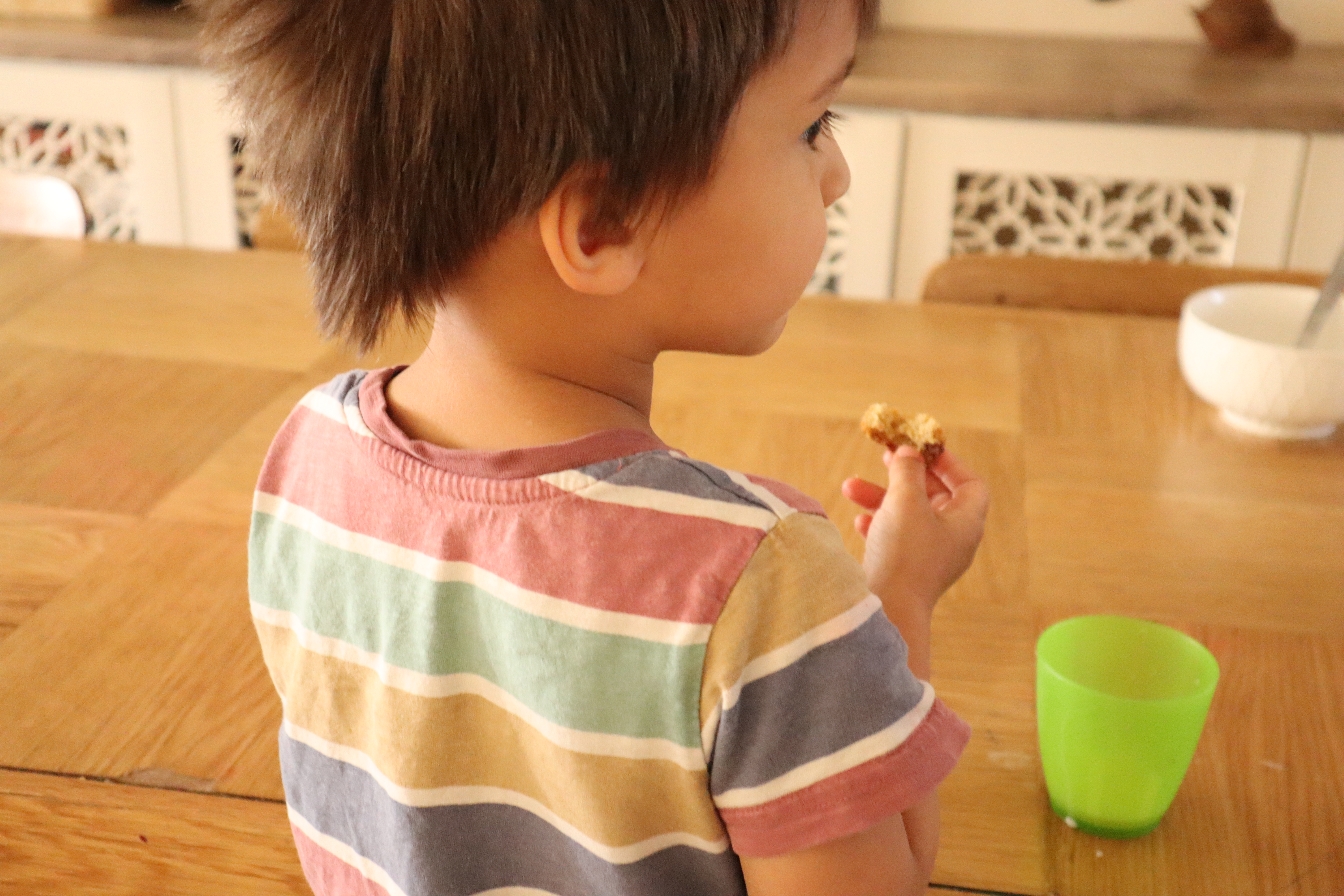 Chocolate Chip Cookie 7